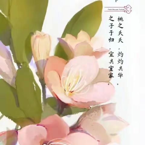 三月三上巳节    一起去踏春              ——临邑县临盘第一幼儿园春游