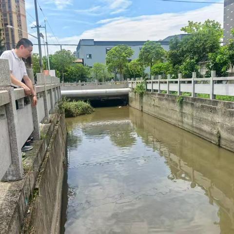 琯头镇开展“河长日”巡河活动