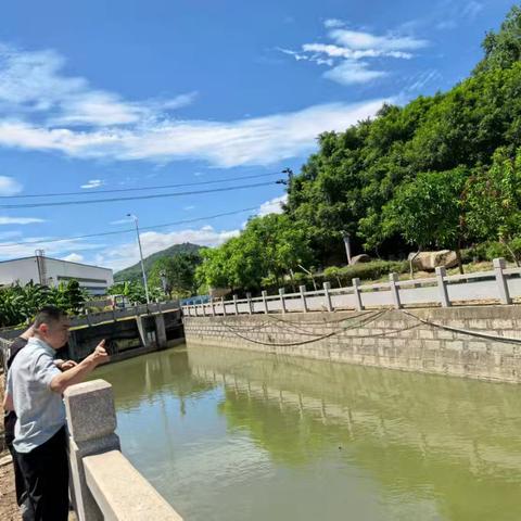 琯头镇开展“河长日”巡河活动