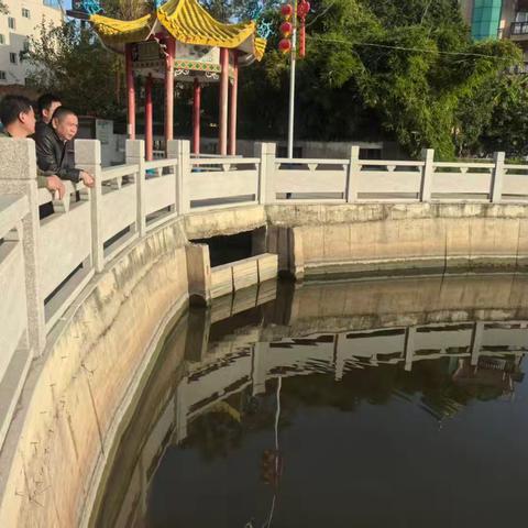 琯头镇开展“河长日”巡河活动