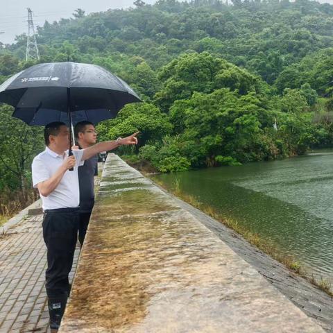 琯头镇开展“河长日”巡河活动