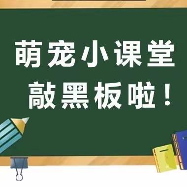 文明养犬，共建美好家园——西街街道建华