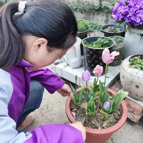 小手添新绿 童心护家园——息县第二小学植树节主题活动