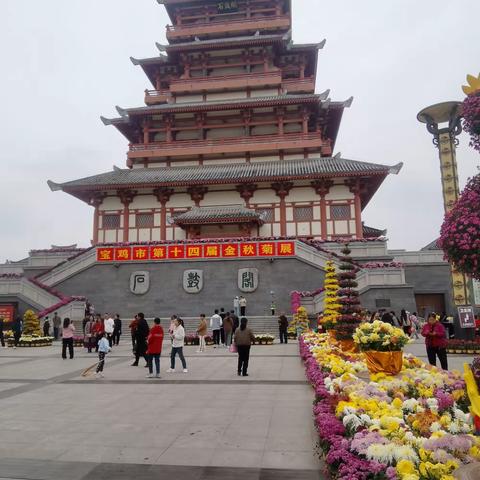 宝鸡市第十四届菊花展在石鼓山举行