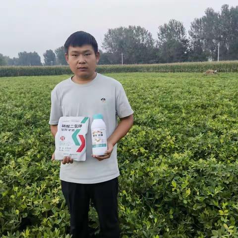 花生增产的法宝—拉姆拉翠姆增产套餐不可少