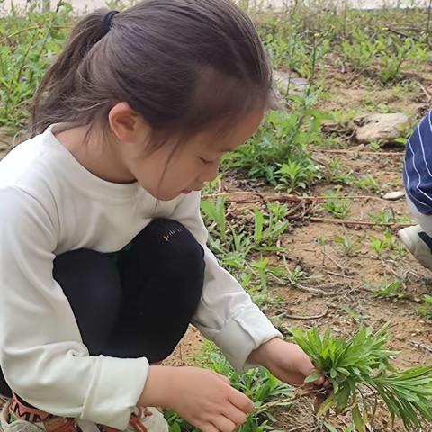 “劳动润泽童心，快乐迎接‘五一’”——记十里墩镇中心幼儿园五一劳动节活动