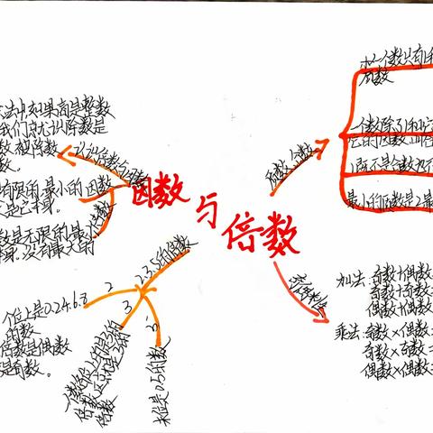 五年级下册数学思维导图第二单元因数与倍数