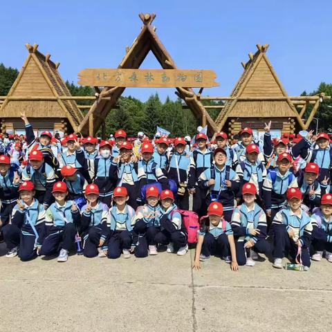 放飞童心“趣”游动物园——芳草地
