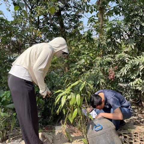 海棠区疾病预防控制中心工作动态