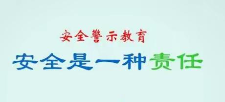 关爱学生幸福成长‖临漳县砖寨营镇中心校崔庄学校安全教育警示活动