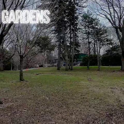 音樂：愛你一萬年 粵語版 視頻：Edwards Botanical Gardens
