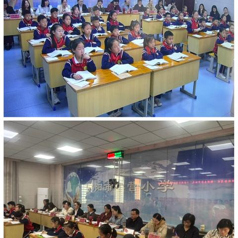 春日竞芳华，赛课促成长——2024-2025学年示范区“教师全员大比武”小学语文学科区级现场课姜营小学赛场纪实