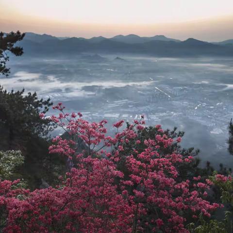 赴一场日出，不负热爱与春光