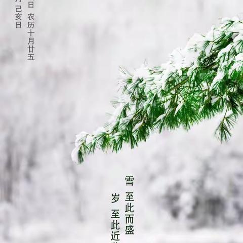 鸿瑞星光幼儿园旭日一班“大雪”主题活动