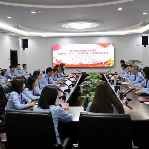 廉洁守红线，青春扬正气 ——鞍山市税务局机关召开青年理论学习小组党纪学习教育第2次专题学习交流会