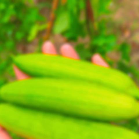 现代名人幼儿园中二班第十七周分享