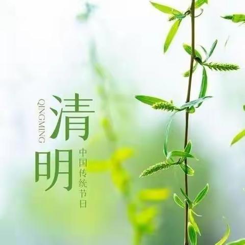 “清明融于情，传统润童心”大一班清明节活动