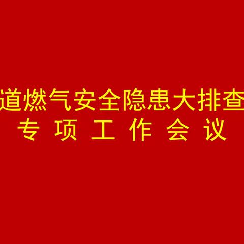 燃气安全大排查，压实责任促平安——岳程街道燃气安全隐患大排查大整治专项工作会议