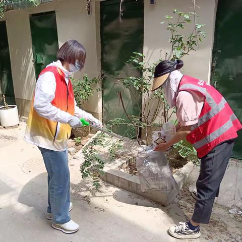暑期垃圾分类进社区，青春助力绿色生活