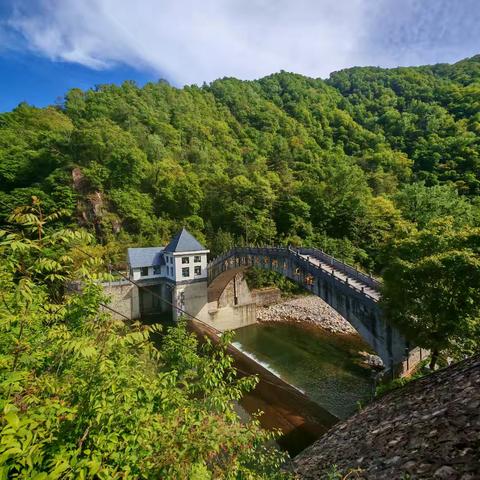 党建引领聚合力 聚焦主责勇担当|金盆水库分公司引湑济黑管理中心月工作简报2024年第五期（总十二期）