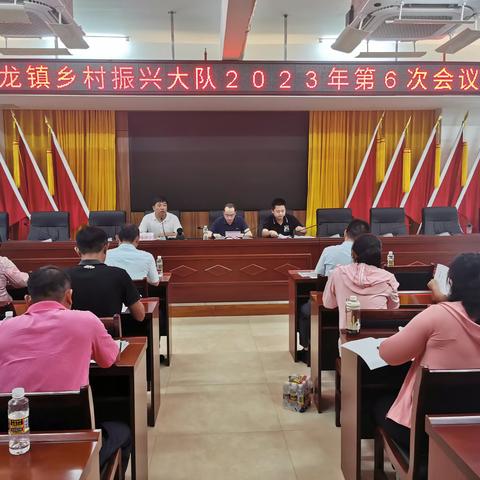云龙镇召开乡村振兴大队2023年第6次会议