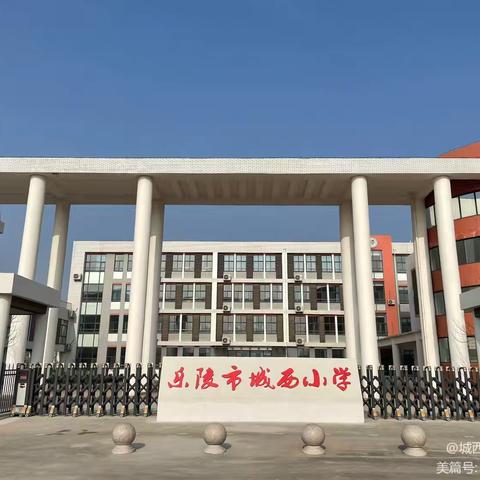 放心午餐，安心午休—乐陵市城西小学新学期午餐午休服务