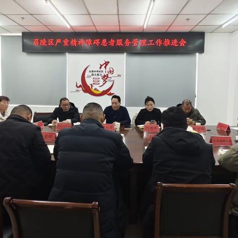 召陵区召开严重精神障碍患者服务管理工作推进会