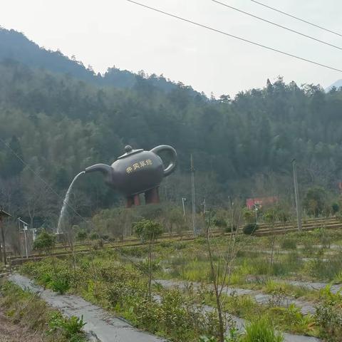 崇仁县道南学校（初中部）教师简介（一）