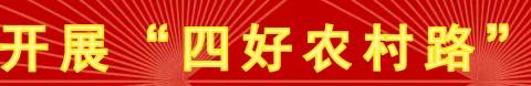 遵化市交通运输局:扎实推进路域环境综合治理，保障农村公路整洁畅通