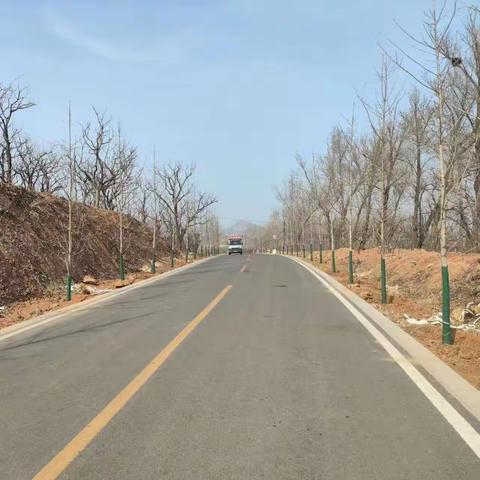 春风拂沃野，植绿正当时