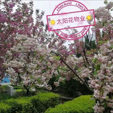 【太阳花物业】2024年4月员工风采