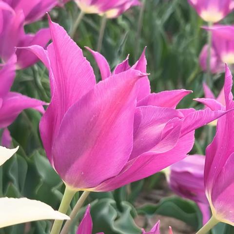 【太阳花物业】2025年5月员工风采