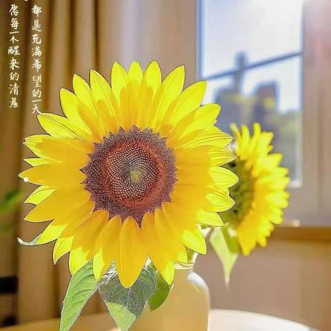 【太阳花物业】2025年10月员工风采