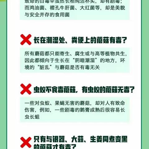 【安全教育】 预防野生菌中毒防控食品安全宣传——武定县香水明珠幼儿园