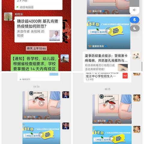 龙江中心学校——预防基孔肯雅热疫情我们在行动简讯
