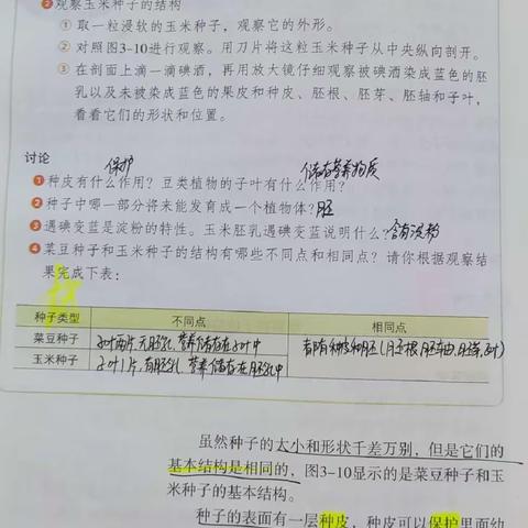 七上生物种子结构视频，种子植物和种子萌发，植株生长，开花结果课本笔记