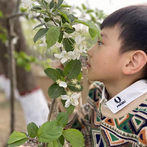 【肥乡区第二实验小学督学责任区】遇见春天   邂逅美好