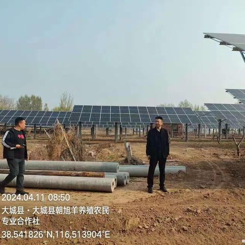 廊坊市大城县权村镇 4 月 11 日重点工作开展情况