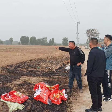 廊坊市大城县权村镇4月16日重点工作开展情况