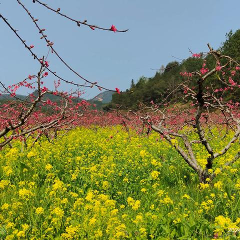 凝聚“她”力量，建功新时代 ——连州市连州中学庆祝“三八”国际妇女节活动