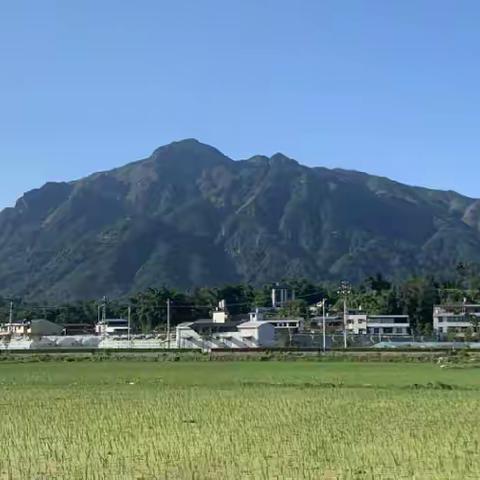 起步桂林换新颜    花陌田园起蝶变