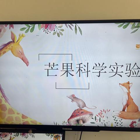 桦南县幼儿园小三班科学活动 《平衡鸟》