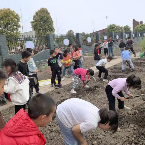 拖船小学三年级一班劳动实践活动