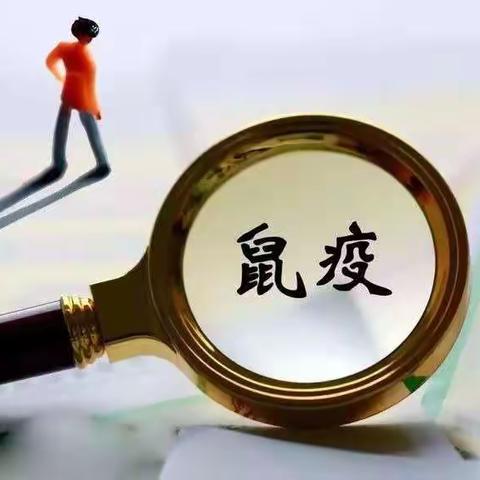 鼠疫防控小知识