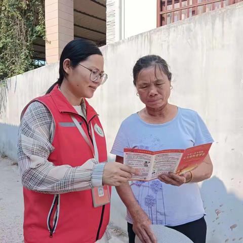 新龙镇新村网格员入户开展”反有组织犯罪法“宣传