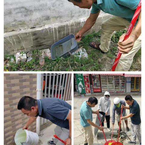 新龙镇新村开展“清洁家园 防蚊灭蚊”爱国卫生专项行动