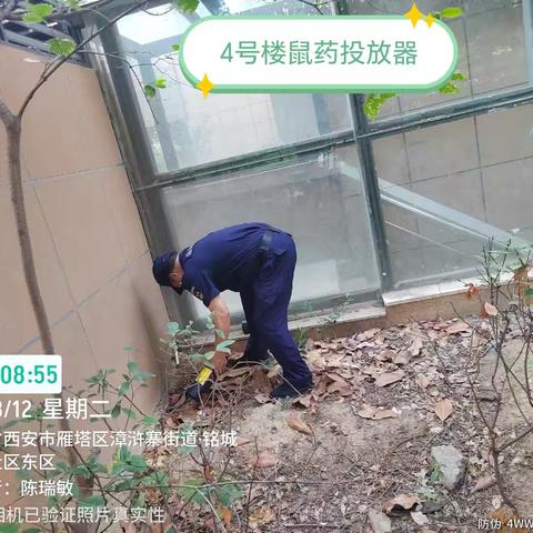 小药粒·大防线—铭城社区开展病媒生物鼠药投放工作