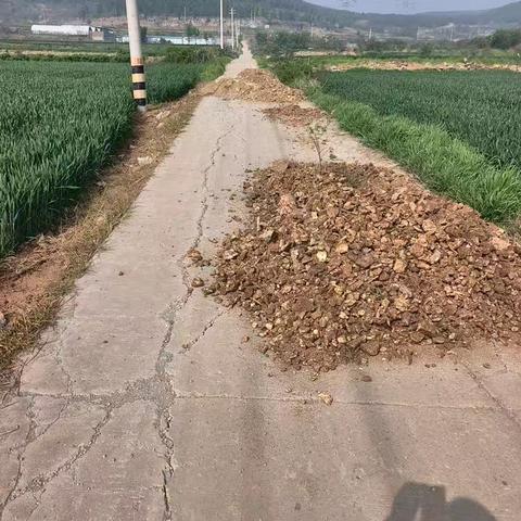 新路通民心｜新任书记牵头维修村内生产路