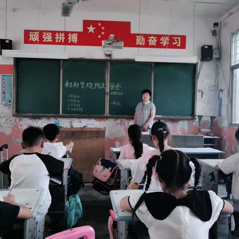娄店乡娄店小学校园日常：一周校园