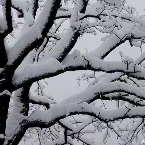 破冰铲雪 保障安全——西平县柏城三里湾小学清扫积雪在行动